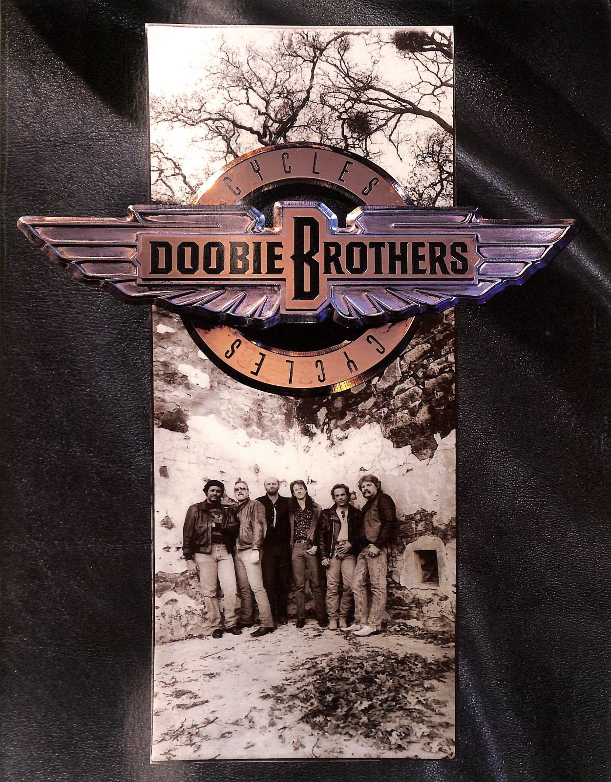☆コンサートパンフ / ドゥービー・ブラザーズ / ザ・ドゥービー
