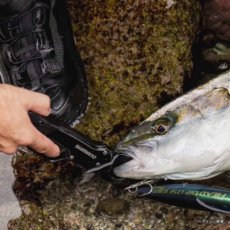 FISH GRIP