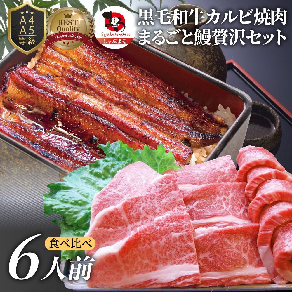 黒毛和牛＆まるごと鰻セット6人前焼肉のタレ凍眠テクニカン肉ギフト食品プレゼントうなぎカルビ焼肉A4～A5等級プレゼント牛肉