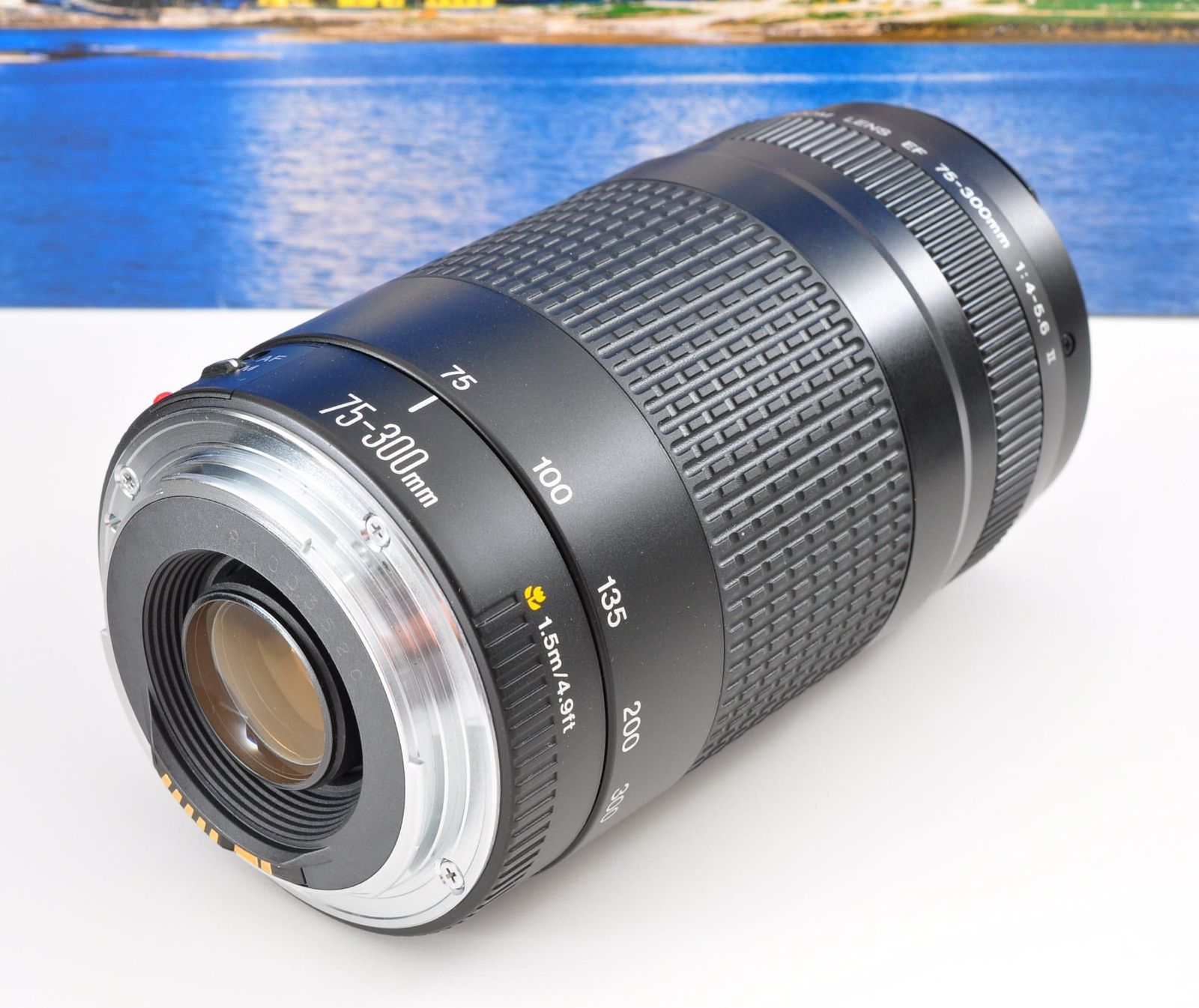 Canon EF 75-300mm F4-5.6 USM 超望遠レンズ 望遠レンズ 超望遠レンズ⭐️