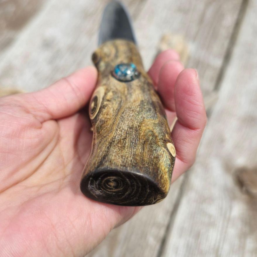 虹彩珊瑚のマキリ