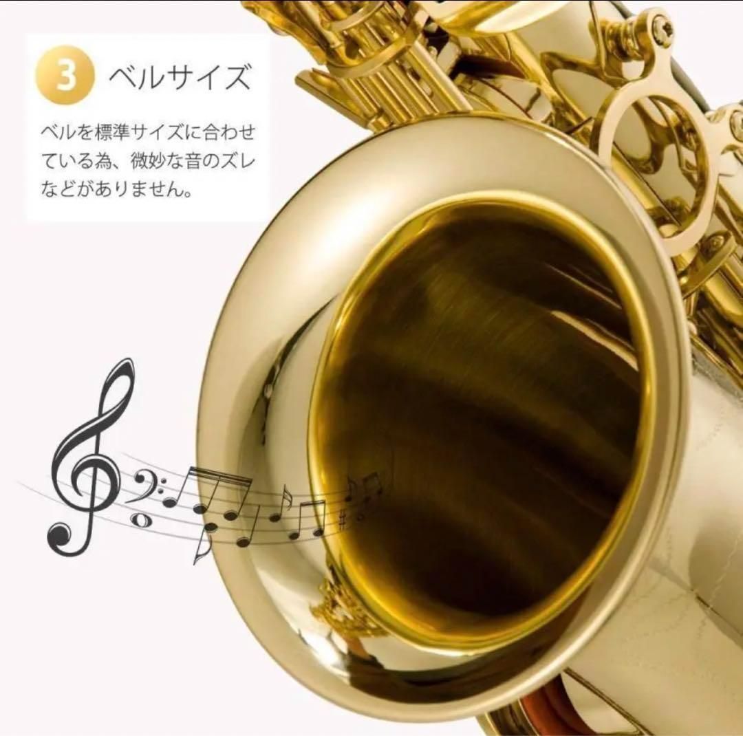 アルトサックス 11点セット E Saxophone ゴールドラッカー ケース付き 彫刻入り 初心者 サックス 入門セット - メルカリ