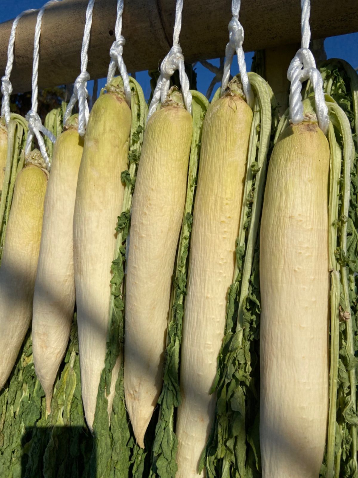 美品  干し大根葉っぱ付き 広島県産 10キロ - メルカリ 野菜