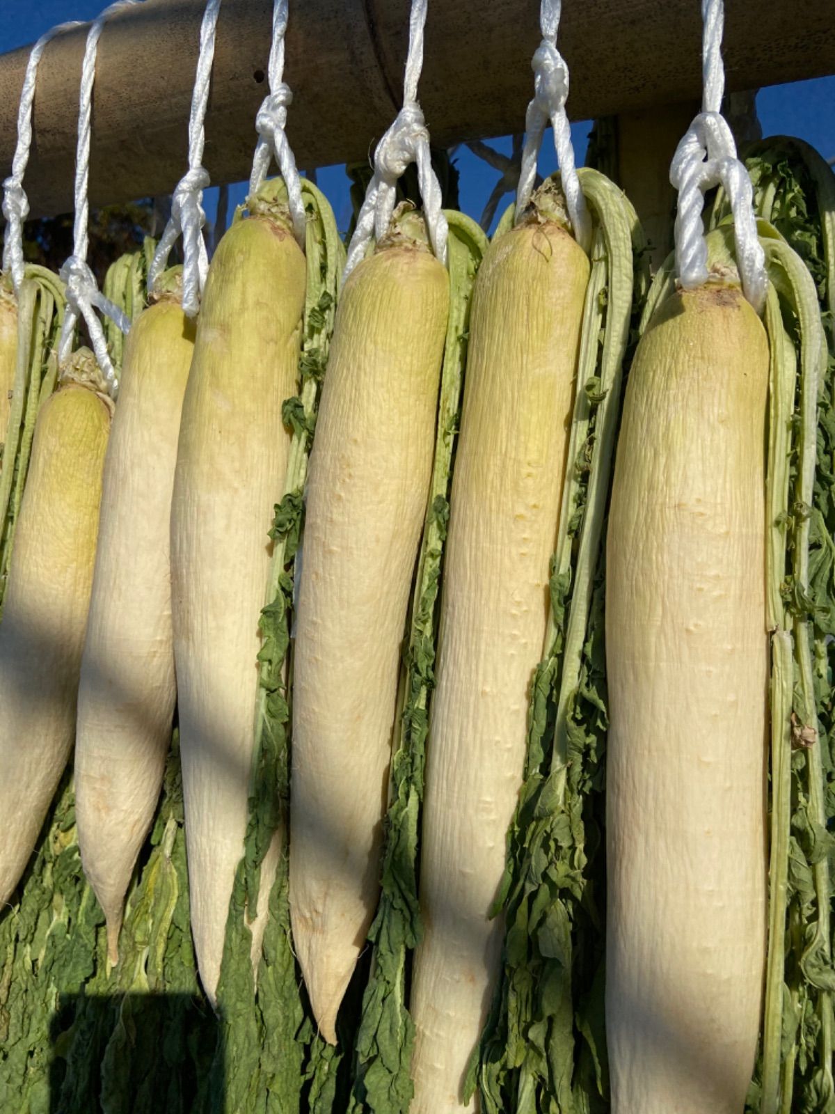 干し大根葉っぱ付き 広島県産 １０キロ - メルカリ