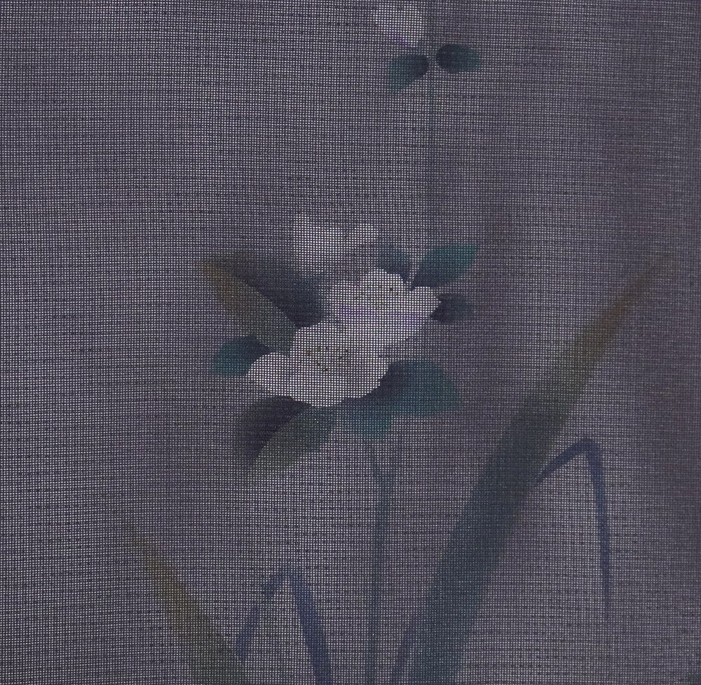 花柄