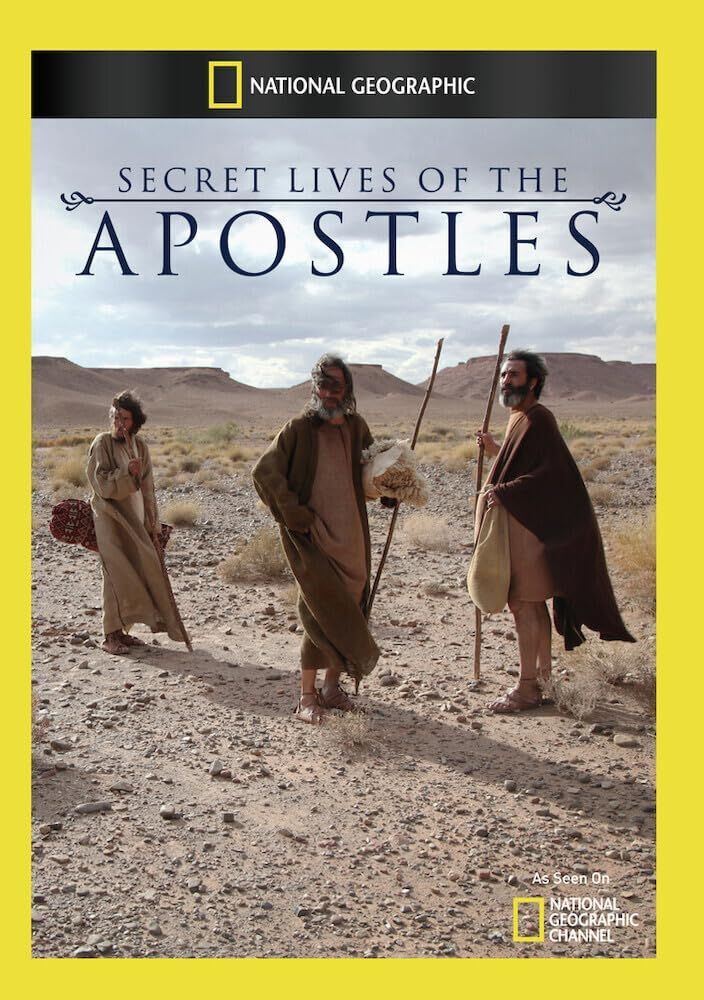 Festival in the Desert [DVD](中古品)