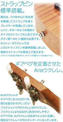 入門 12点セット