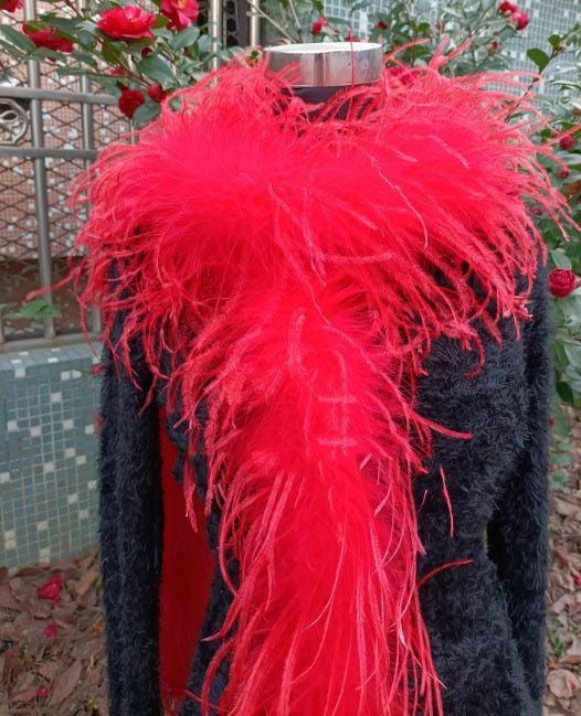 発表会 ダンス衣装