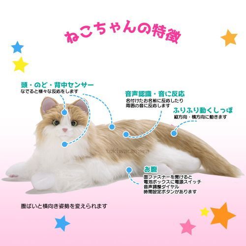 状態A