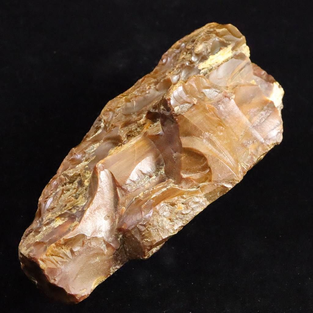 北海道幌加内町 ペトリファイドウッド 珪化木 110mm原石 321g 【榎本