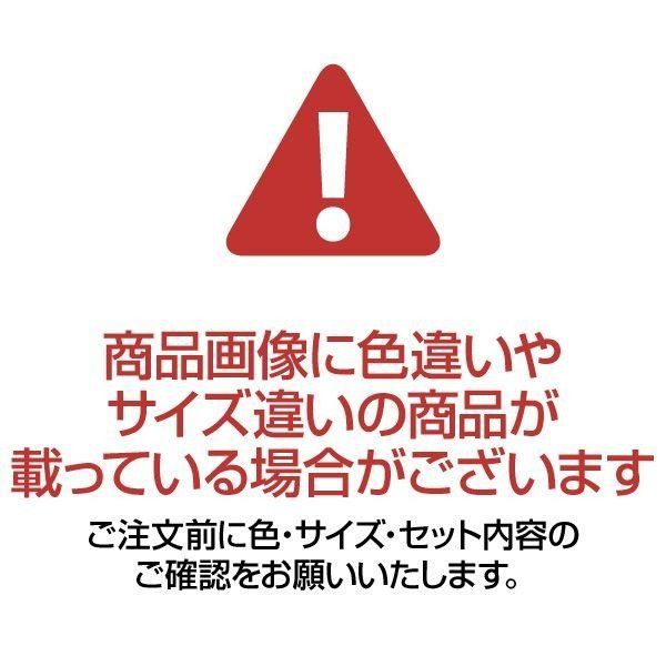 天馬 Fitsフィッツケース アドバンス 55-40L ホワイトクリア 1個