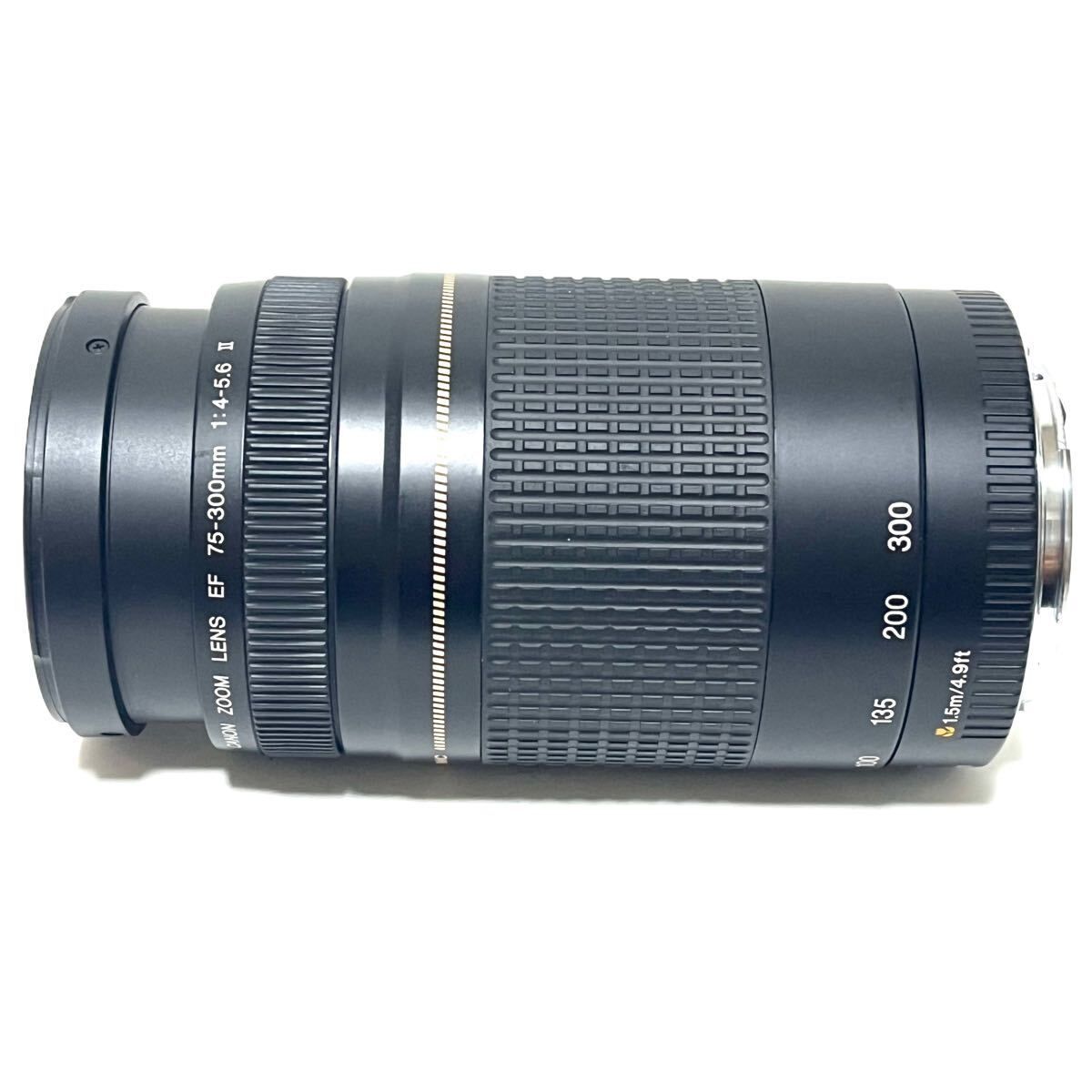 ☆実用美品☆ CANON キャノン EF 75-300mm F4-5.6 Ⅲ USM ☆動作OK 