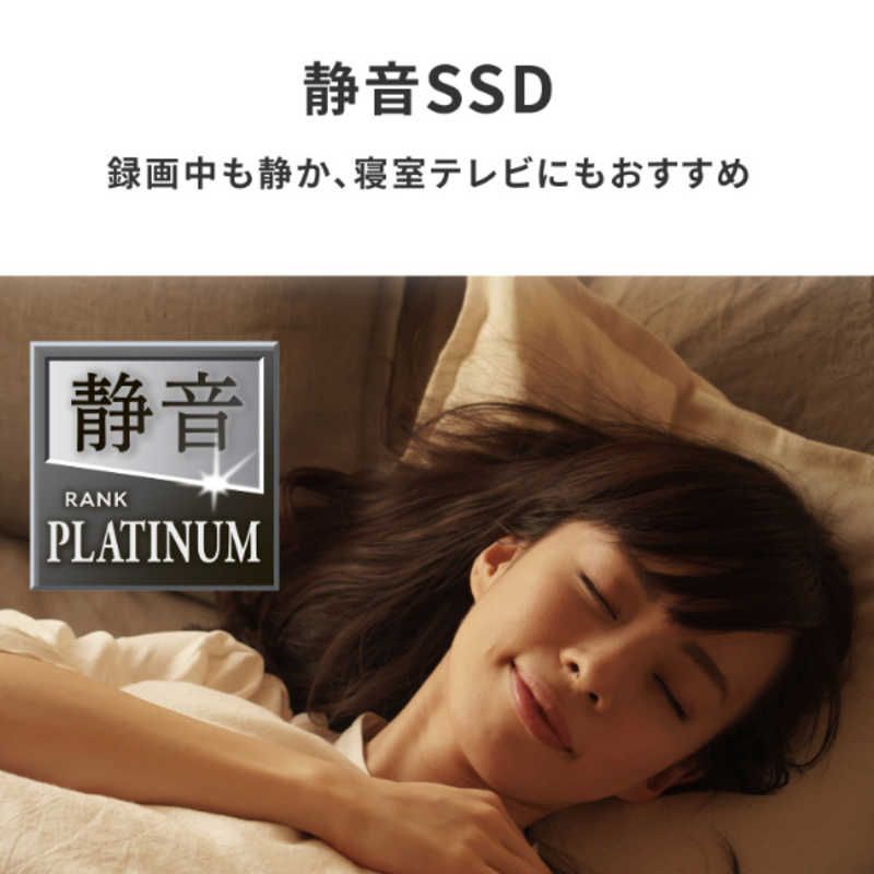 録画用スティックSSD 2TB