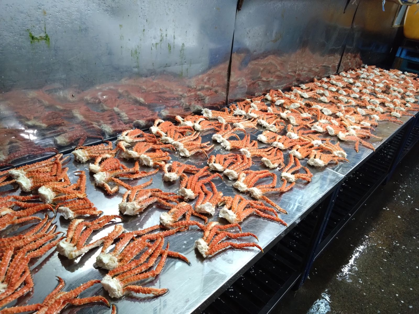 12月30日お届け】訳ありタラバガニ足14から40肩で4㎏ボイル冷凍品