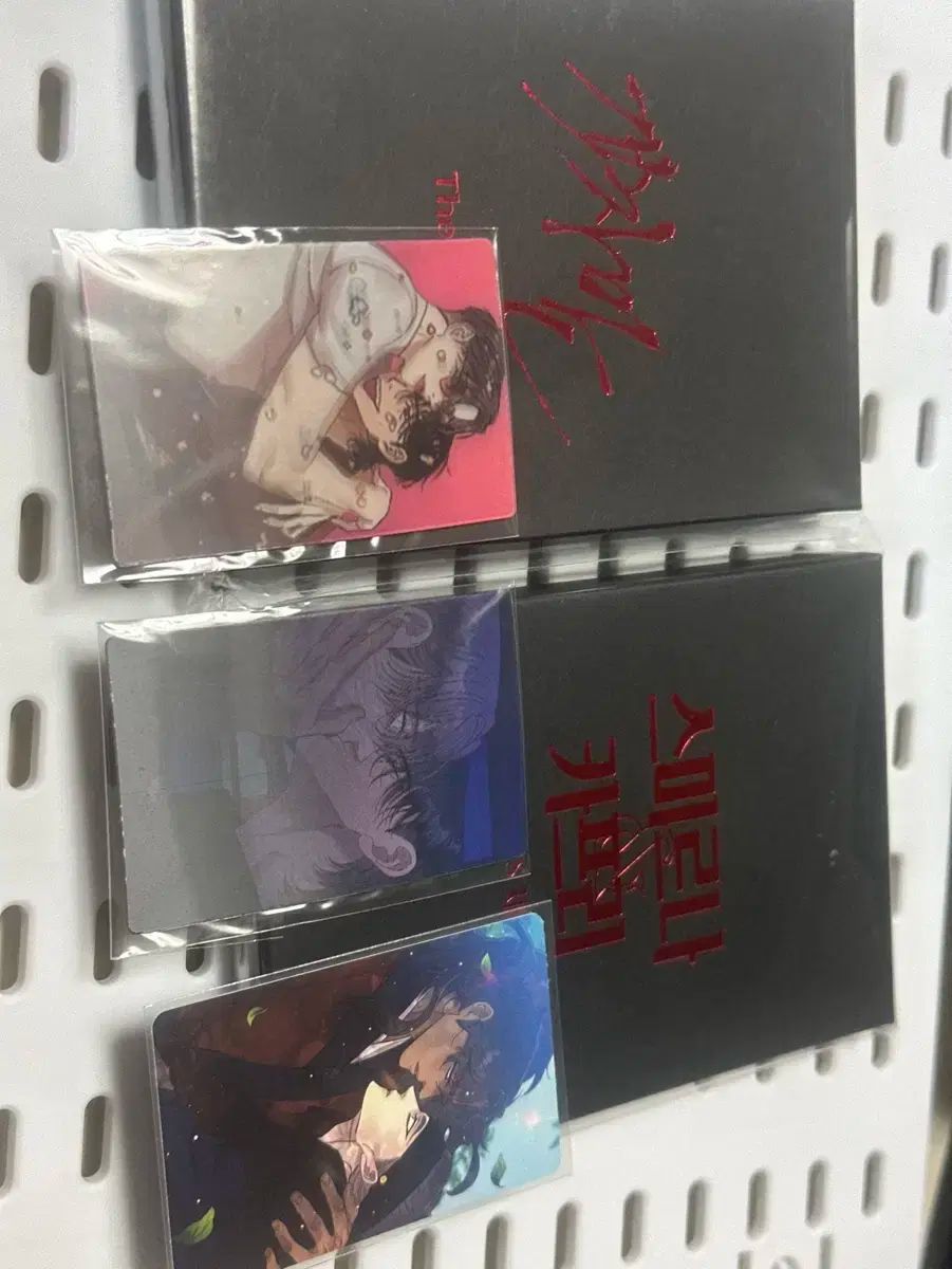 オープニングクラス スマーナ＆カプリ