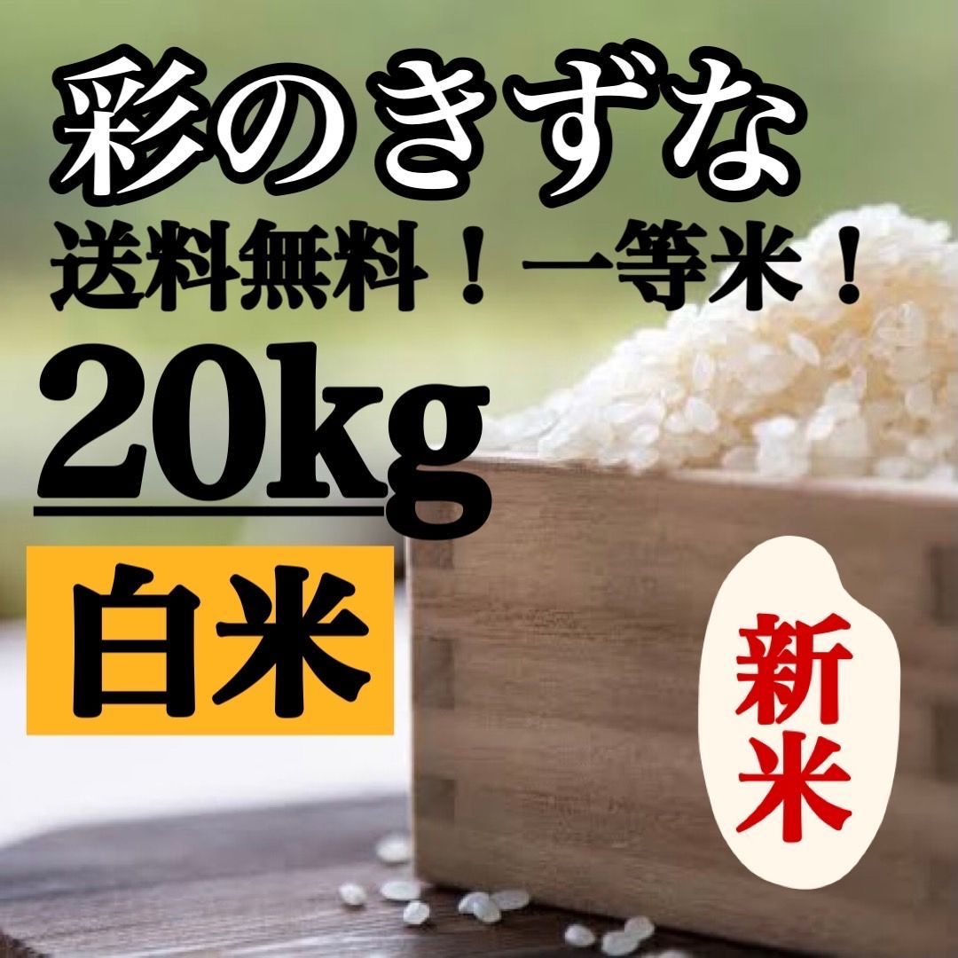 白米20kg 彩のきずな新米埼玉県産令和4年産送料無料米20キロ