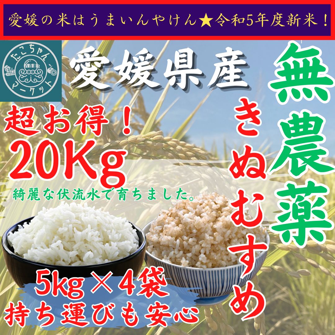 減農薬のお米 きぬむすめ20kg - 米・雑穀・粉類