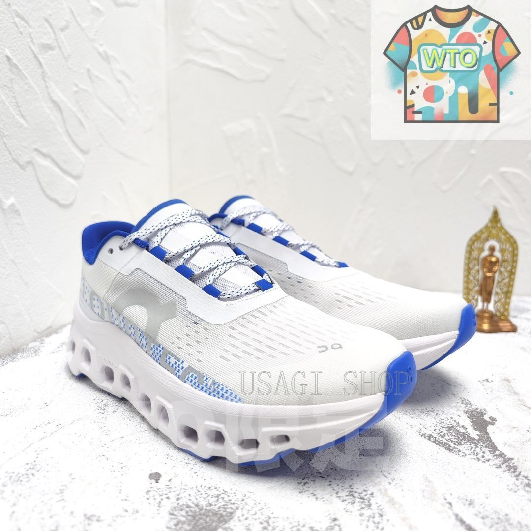 【中古美品】on ランニングシューズ（Cloudmonster／26cm） On Cloudmonster2 クラウドモンスター 第二世代 ジョギング