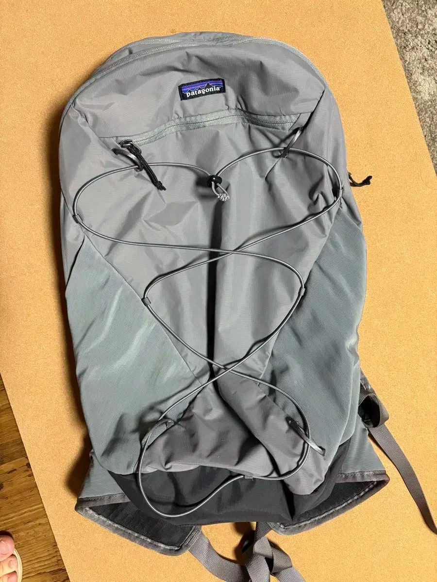 patagonia パタゴニア テラビア 22L