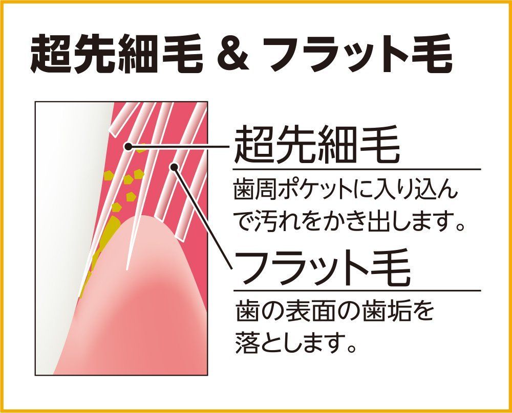 新着商品エビス プレミアムケアハブラシ 7列レギュラー ふつう 3本組