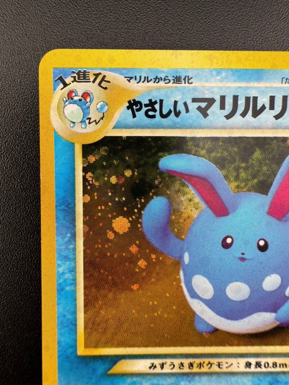 PSA9 やさしいマリルリ 闇、そして 光へ… 184 2001 中古品やさしいマリルリ LV.37 No.184 第4弾 闇、そして光へ