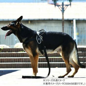リフレクティブ ブラック