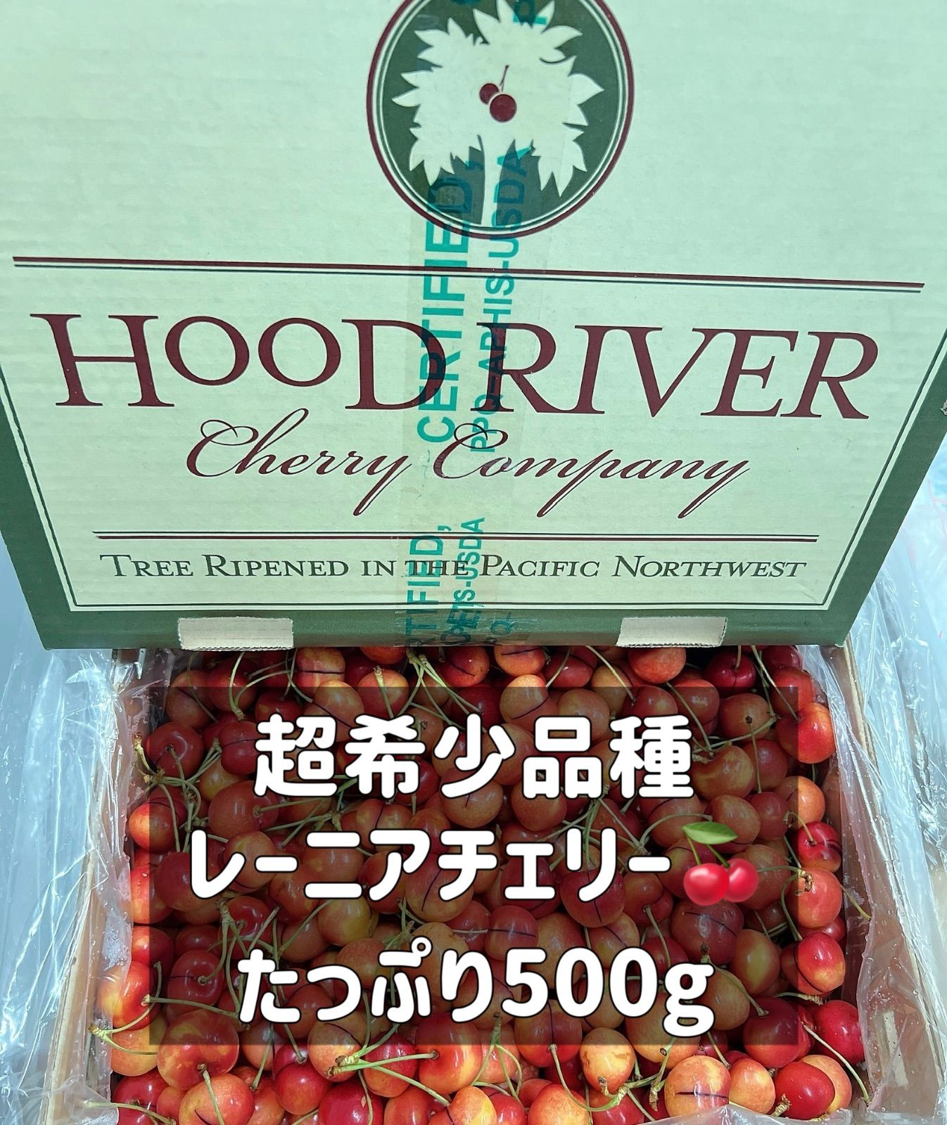 高級レーニアチェリー　さくらんぼ　チェリー　レイニアチェリー 高級レーニアチェリー さくらんぼ チェリー レイニアチェリー