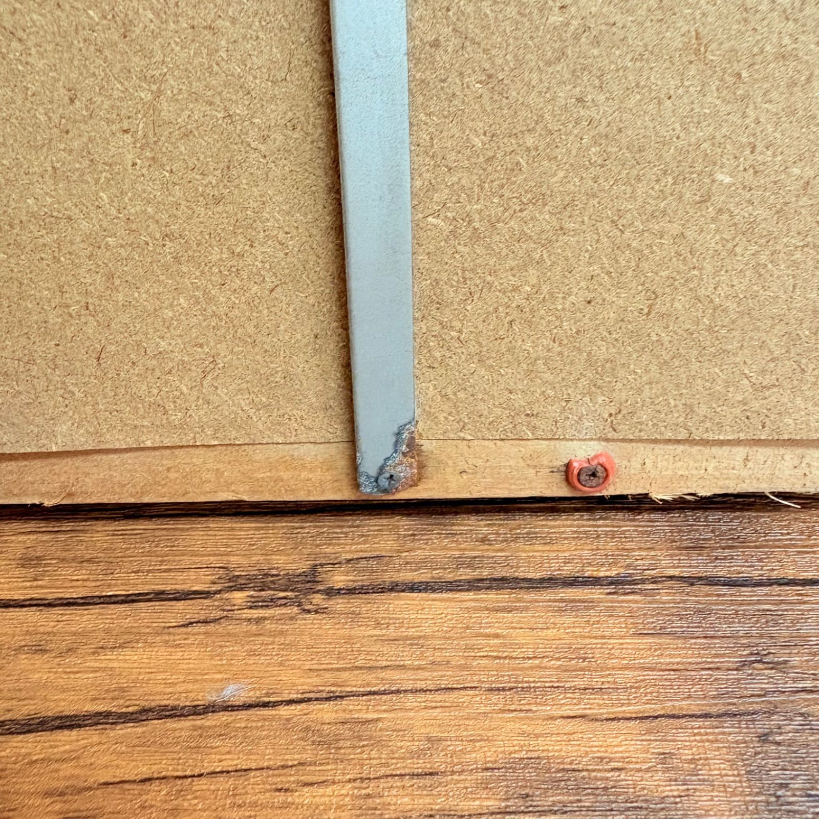 ディズニー Disney