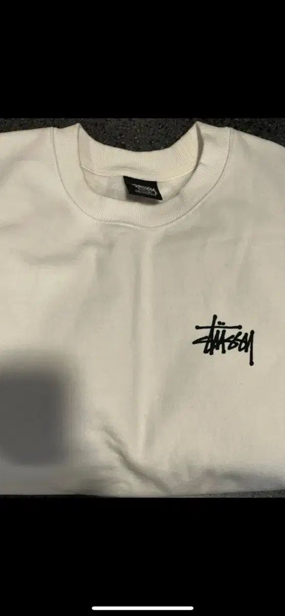 STUSSY ステューシー パーカー
