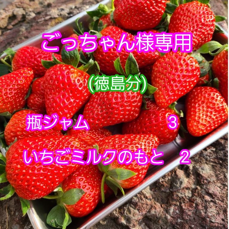 いちごみるく様☆確認用 いちごみるく様用 いちごみるく様確認用 【公式通販】