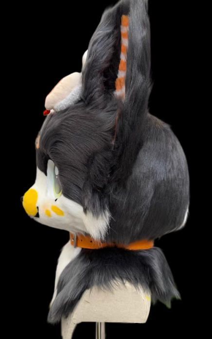 着ぐるみセット NO.246