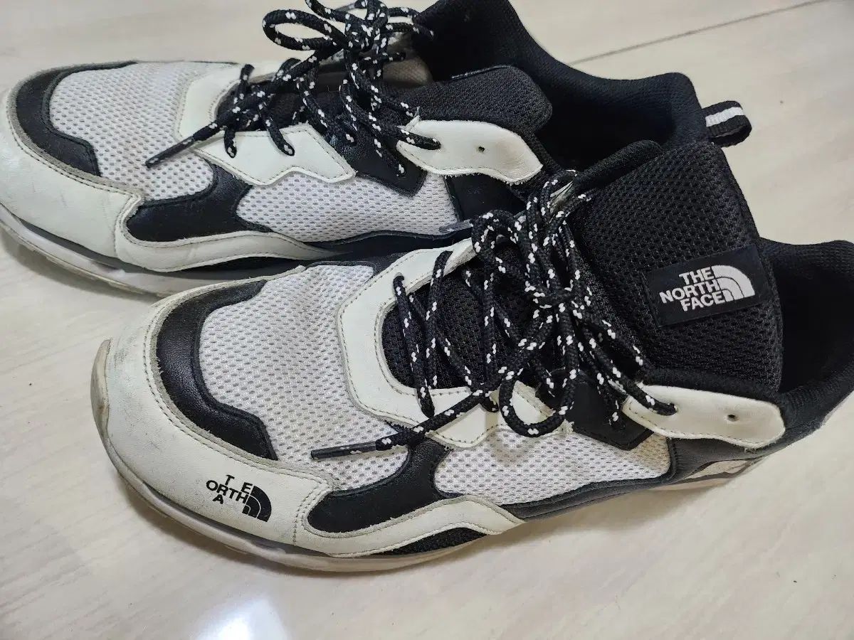 ザノースフェイス スニーカー