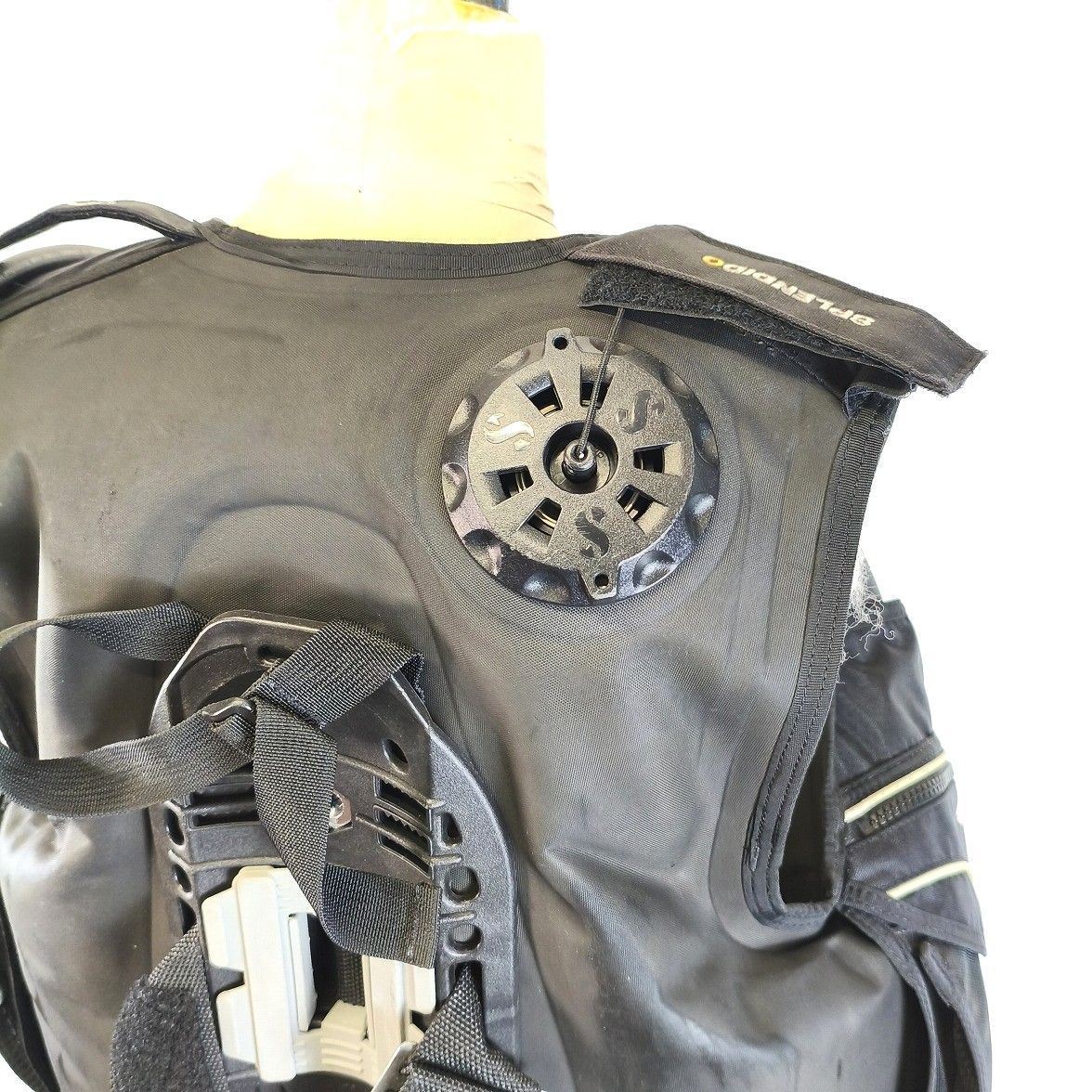 スプレンディッド