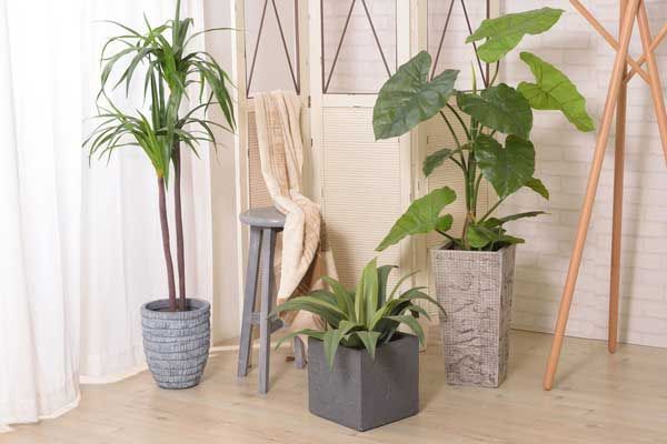 No.15 約W43×D42×H140cm