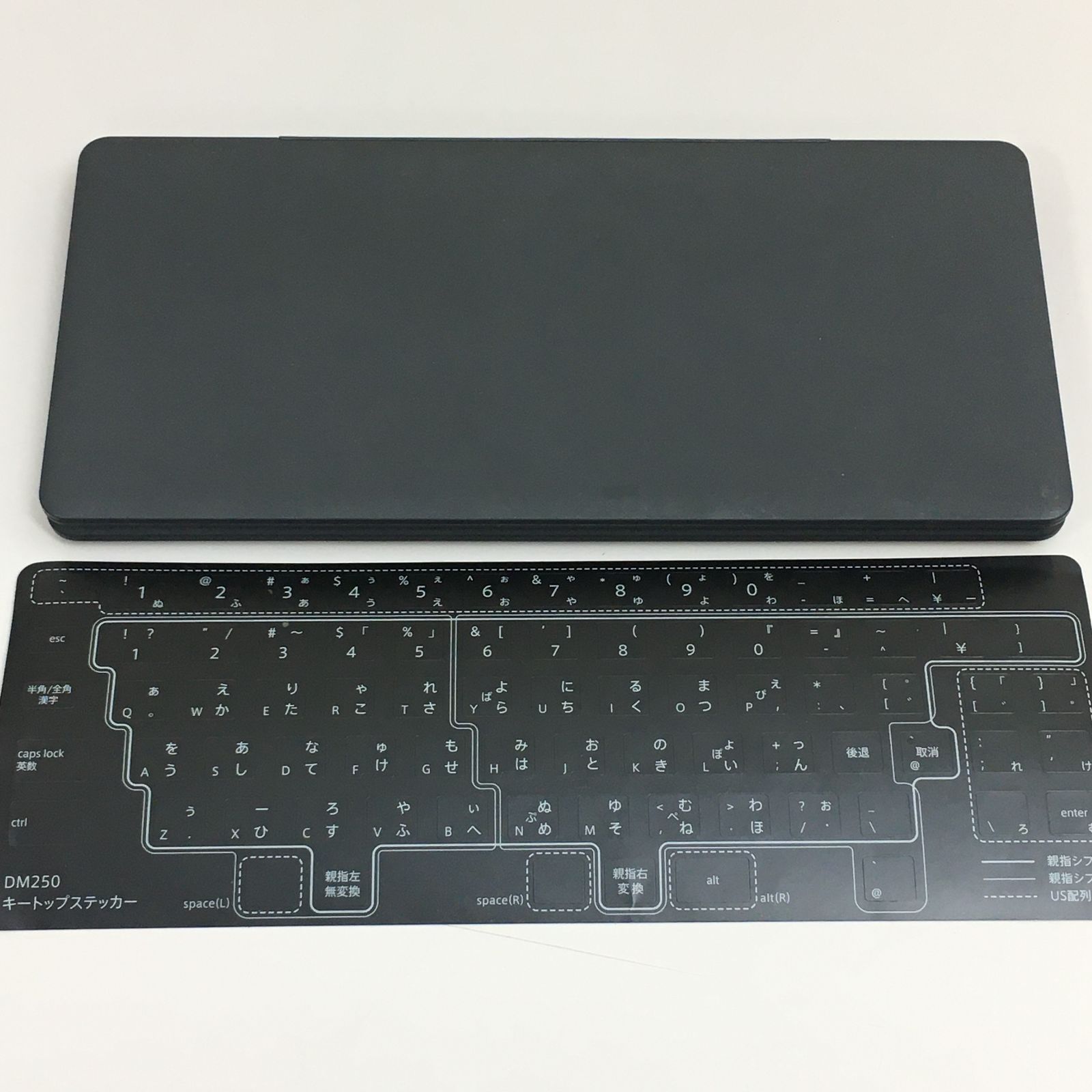 ポメラ DM250(動作確認済み)ポメラ DM250