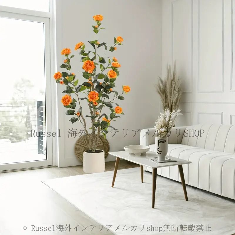 ヤマモミジ/山採り天然木【現品発送】管理70160 ヤマモミジ/山採り天然木【現品発送】管理70160