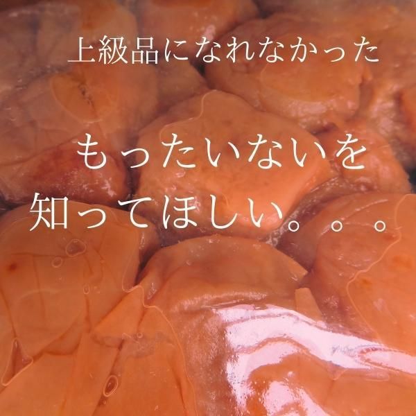 訳あり送料無料　高級完熟紀州南高梅　しそ梅　800g　安心安全の産地直送　和歌山県産　つぶれ梅　しそ漬け梅干し　すっぱすぎない　ポスト投函　し８　うめぼし　インフルエンザ　風邪 和歌山　寺本商店 スクラロース不使用