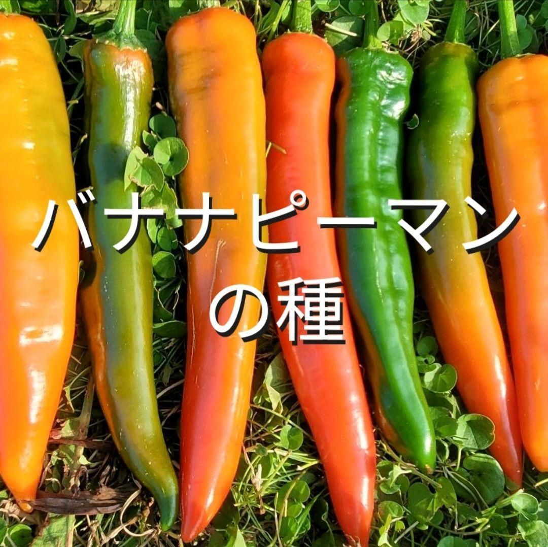 メルカリshops バナナピーマンの種