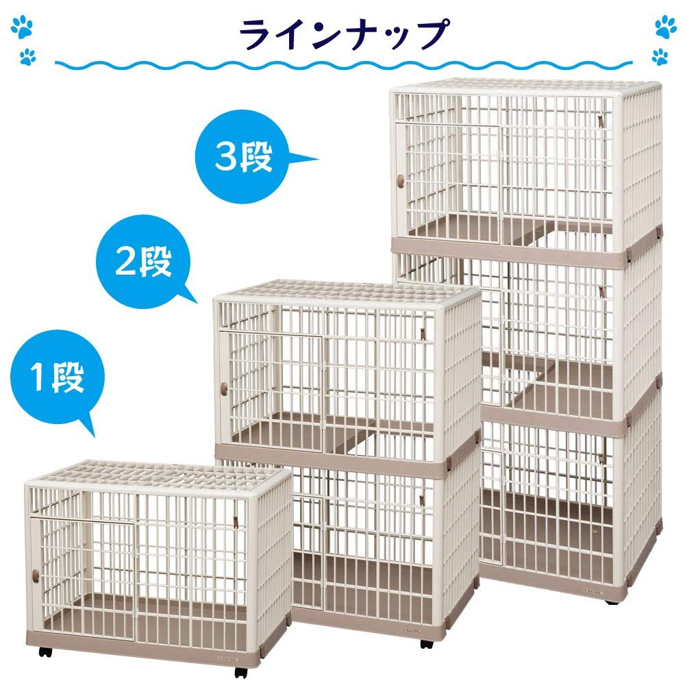 猫用 多頭飼い