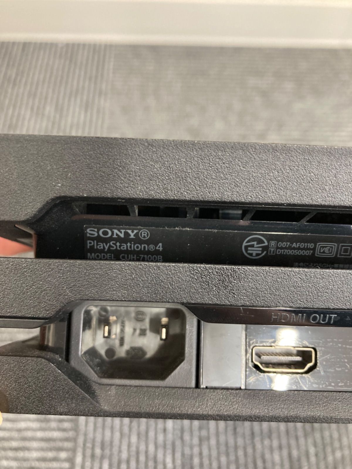本体