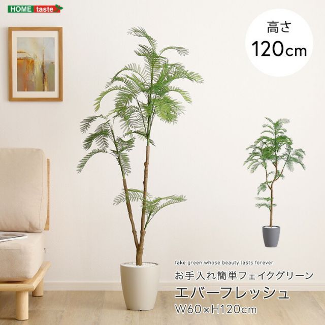 エバーフレッシュ フェイクグリーン 高さ120cm 観葉植物 フェイク 大型 人工観葉植物 鉢植え 水やり不要 枯れない グリーン インテリア おしゃれ 室内 人工植物 造花 リアル 作り物 木 樹 お手入れ簡単 虫がわかない 約 幅60×高さ120cm オ