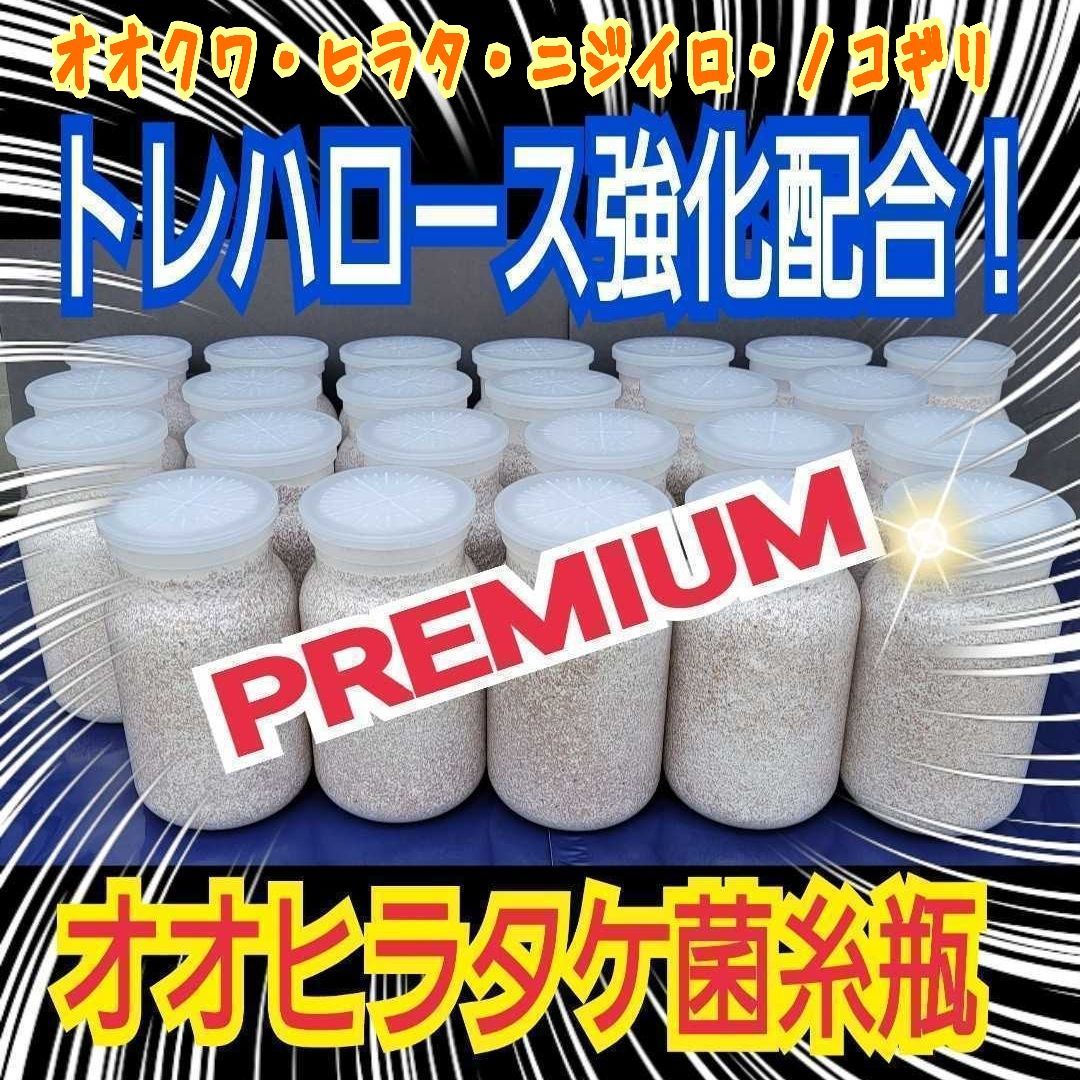 極上！オオヒラタケ 菌糸瓶 【8本セット】1100ml オオクワガタ