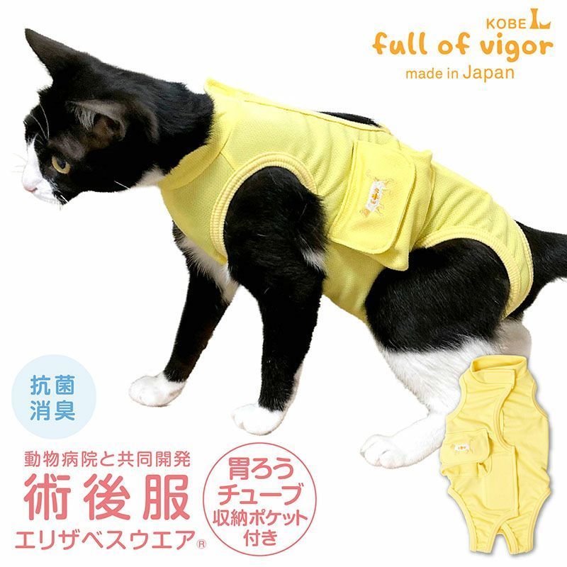 新品】『CLサイズ』猫用 フルオープン 胃ろうチューブ 対応 術後