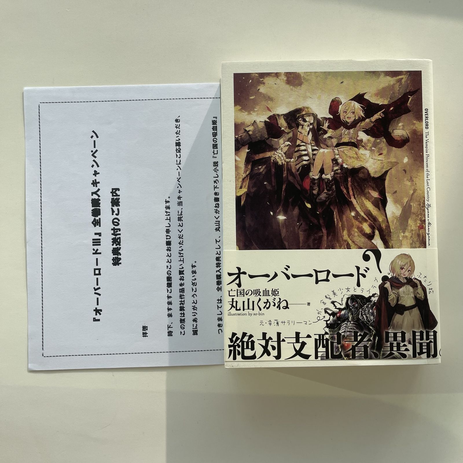 送料無料 ギフト 全巻購入特典小説 オーバーロードⅢ 亡国の吸血姫 メルカリ - 文学・小説