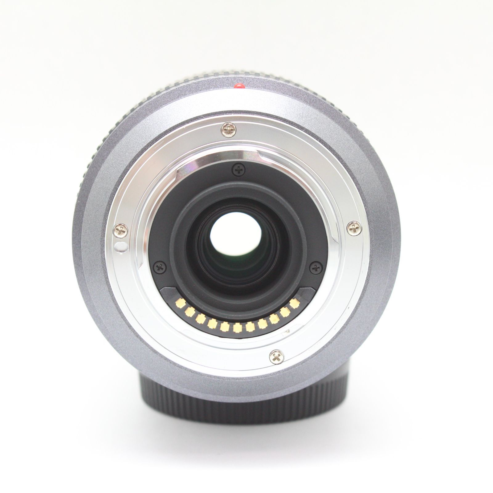 Panasonic 人気 LUMIX G VARIO 45-200mm F4-5.6 MEGA O.I.S Panasonic