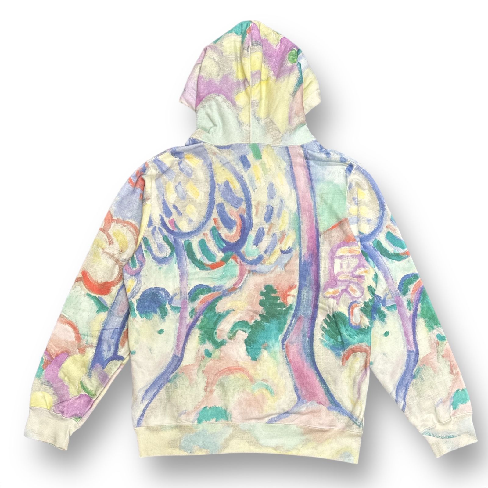 国内正規 新品 Supreme Landscape Hooded Sweatshirt マーブル 