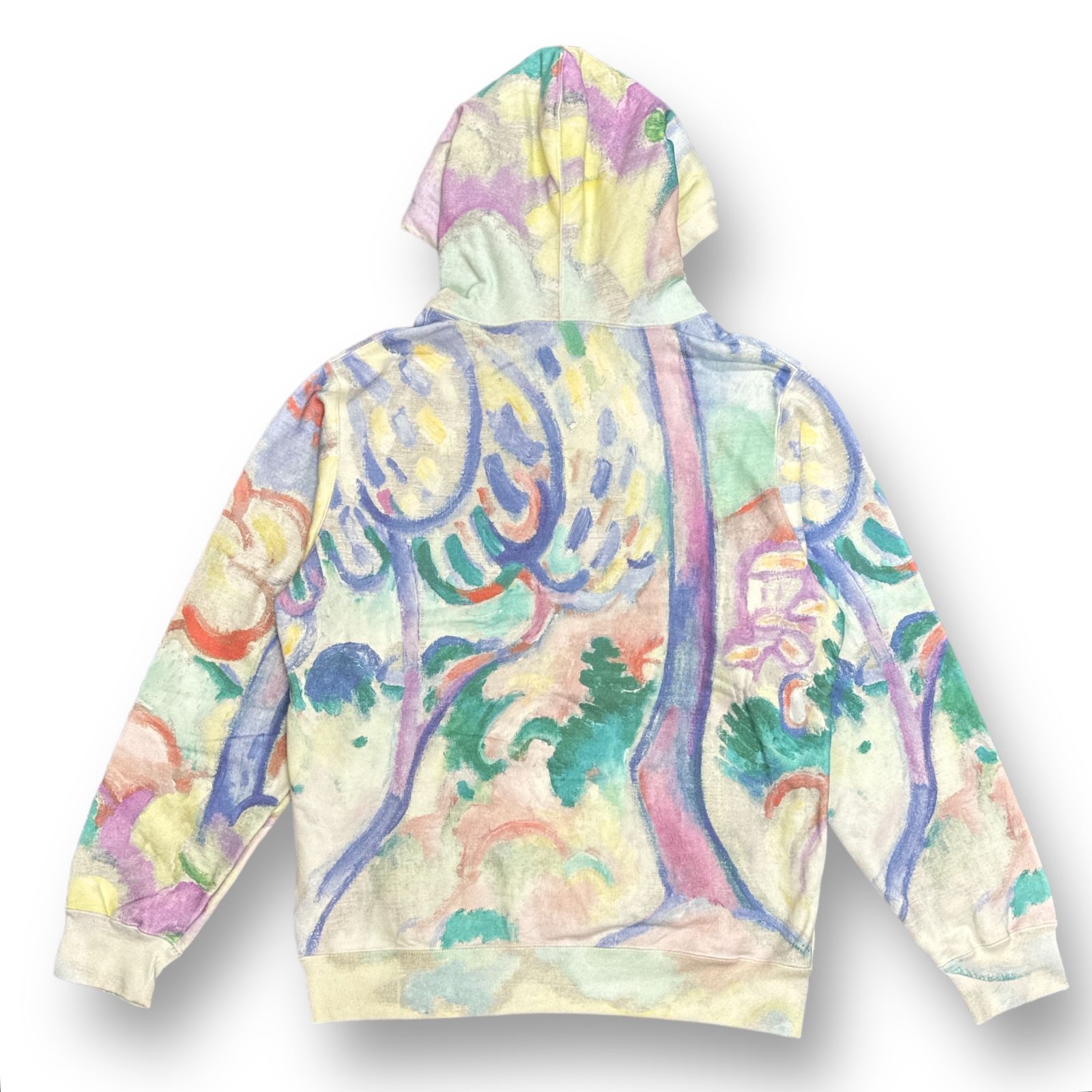 国内正規 新品 Supreme Landscape Hooded Sweatshirt マーブル ...