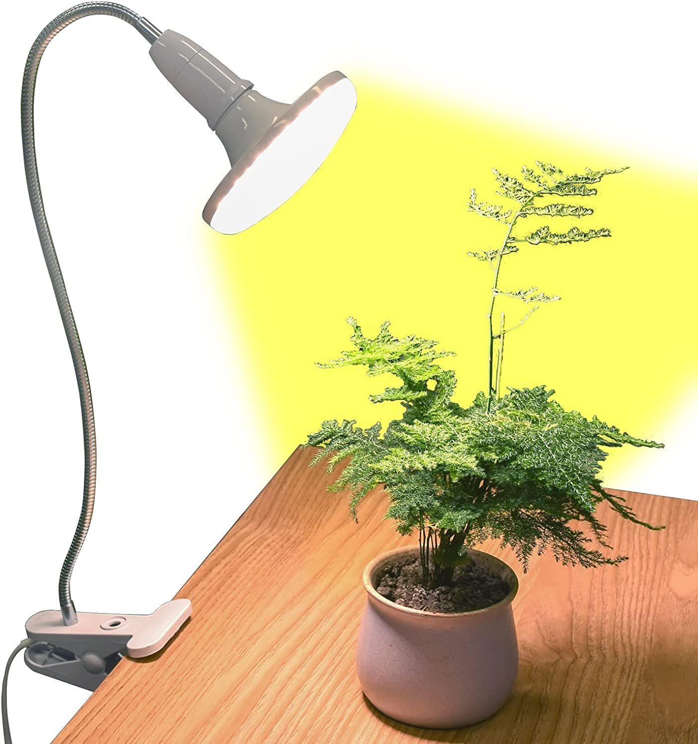 新品 植物育成ライト 植物育成用ledライト 20W E2 リップライト 541