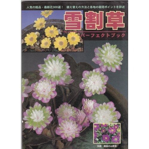 雪割草パ-フェクトブック (別冊趣味の山野草) - メルカリ