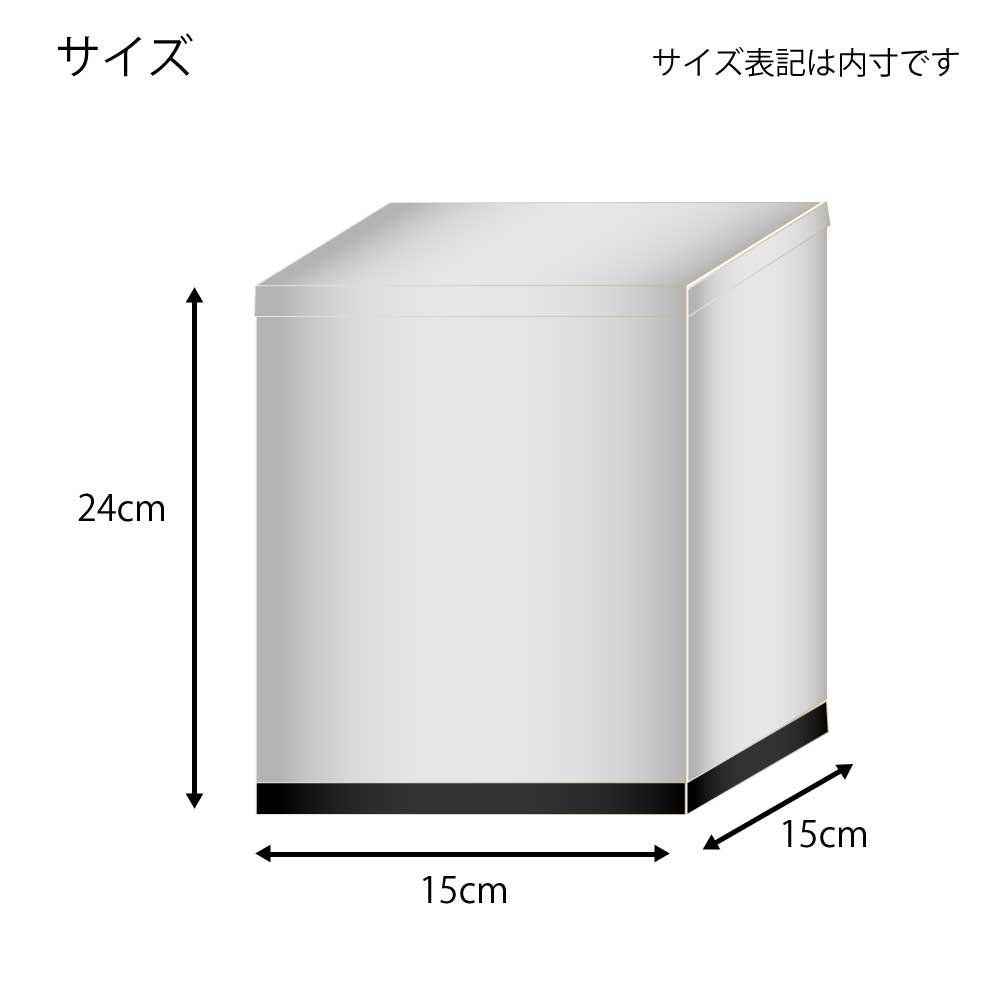 ヘイコー コレクションケース 展示用 ウインナーケース 角 15x15x24cm 本体色:透明/底面色:黒 1個入